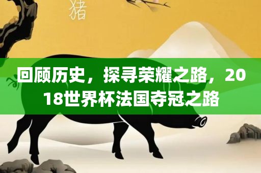 回顾历史，探寻荣耀之路，2018世界杯法国夺冠之路