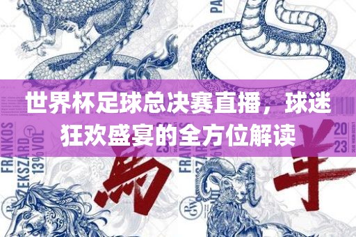 世界杯足球总决赛直播，球迷狂欢盛宴的全方位解读