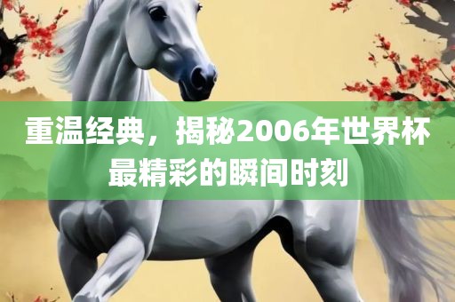 重温经典，揭秘2006年世界杯最精彩的瞬间时刻