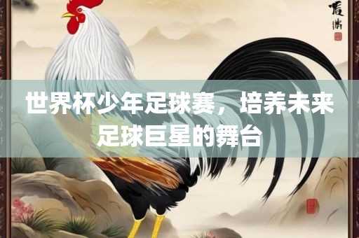 世界杯少年足球赛，培养未来足球巨星的舞台
