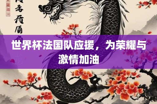 世界杯法国队应援，为荣耀与激情加油