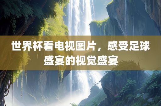 世界杯看电视图片，感受足球盛宴的视觉盛宴