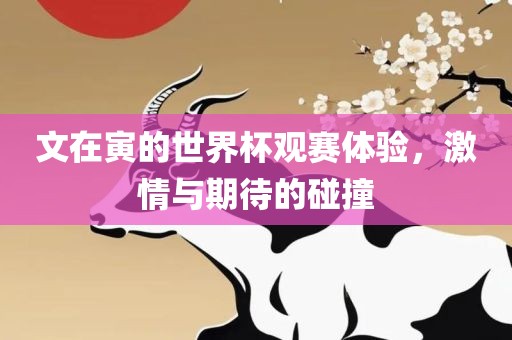 文在寅的世界杯观赛体验，激情与期待的碰撞