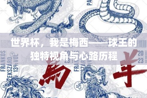 世界杯，我是梅西——球王的独特视角与心路历程