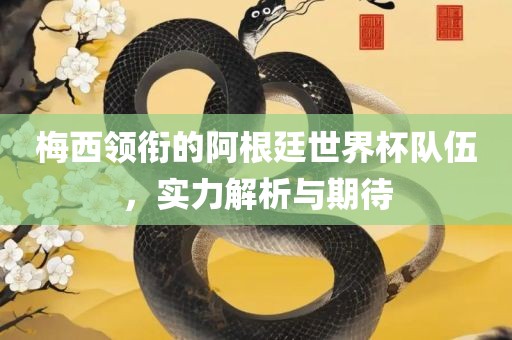 梅西领衔的阿根廷世界杯队伍，实力解析与期待