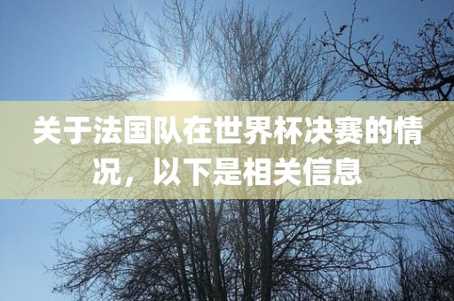 关于法国队在世界杯决赛的情况，以下是相关信息