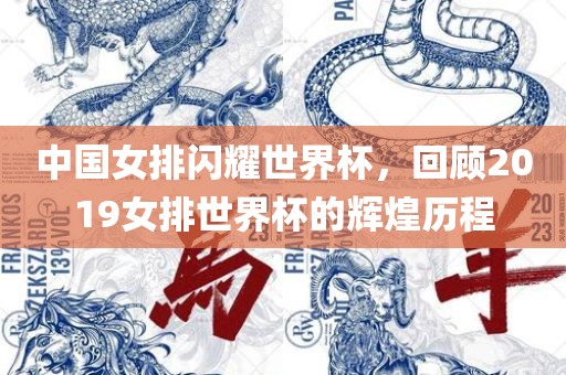 中国女排闪耀世界杯，回顾2019女排世界杯的辉煌历程
