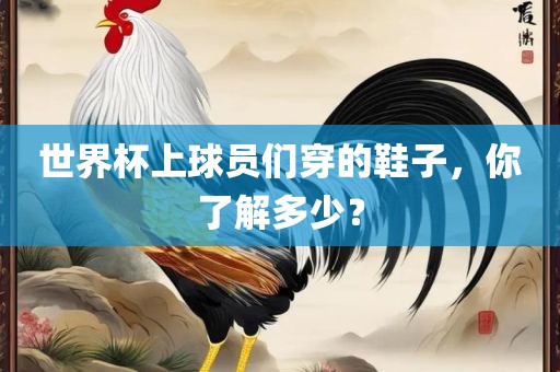世界杯上球员们穿的鞋子，你了解多少？