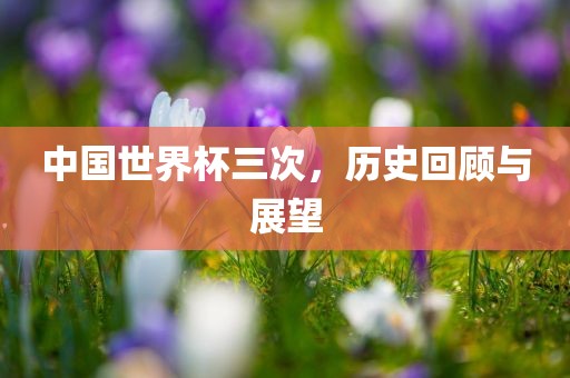 中国世界杯三次，历史回顾与展望