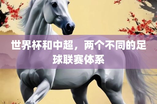 世界杯和中超，两个不同的足球联赛体系
