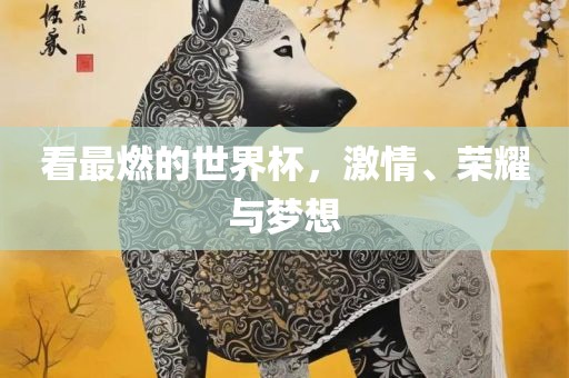 看最燃的世界杯，激情、荣耀与梦想