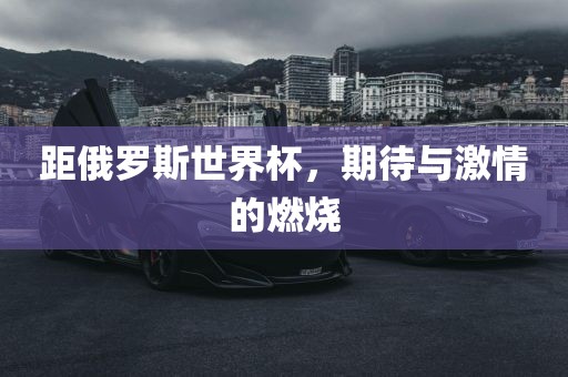 距俄罗斯世界杯，期待与激情的燃烧