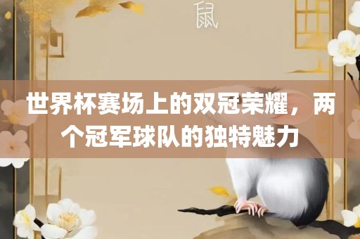 世界杯赛场上的双冠荣耀，两个冠军球队的独特魅力