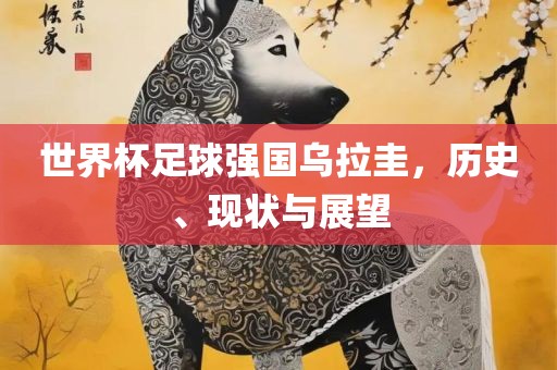 世界杯足球强国乌拉圭，历史、现状与展望