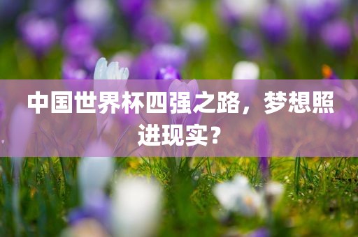 中国世界杯四强之路，梦想照进现实？
