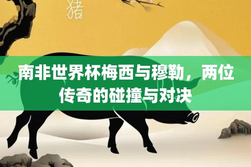 南非世界杯梅西与穆勒，两位传奇的碰撞与对决