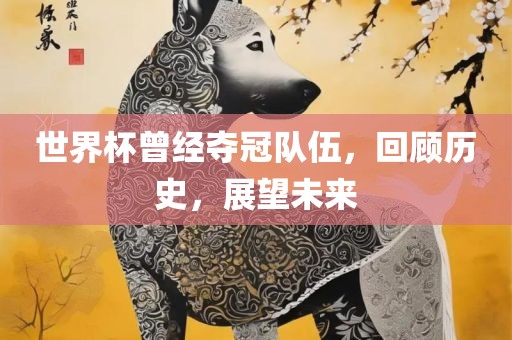 世界杯曾经夺冠队伍，回顾历史，展望未来