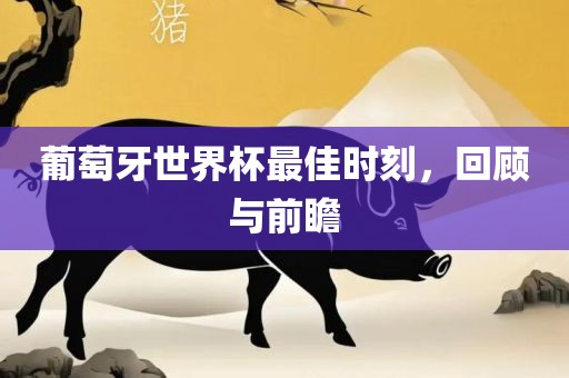 葡萄牙世界杯最佳时刻，回顾与前瞻