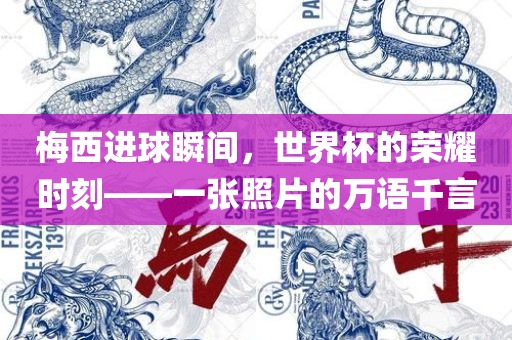 梅西进球瞬间，世界杯的荣耀时刻——一张照片的万语千言