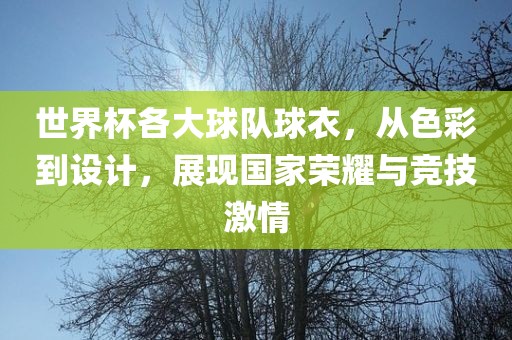 世界杯各大球队球衣，从色彩到设计，展现国家荣耀与竞技激情