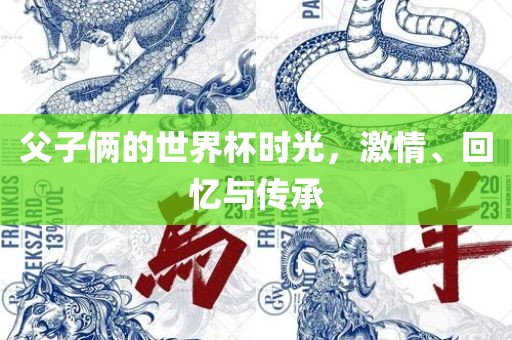 父子俩的世界杯时光，激情、回忆与传承