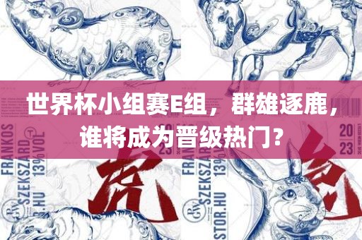 世界杯小组赛E组，群雄逐鹿，谁将成为晋级热门？