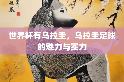 世界杯有乌拉圭，乌拉圭足球的魅力与实力
