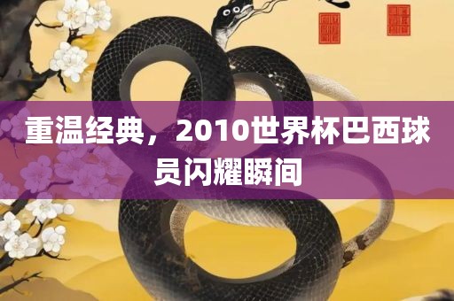 重温经典，2010世界杯巴西球员闪耀瞬间