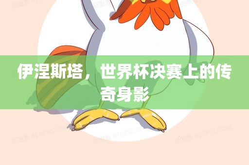 伊涅斯塔，世界杯决赛上的传奇身影