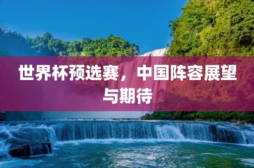 世界杯预选赛，中国阵容展望与期待