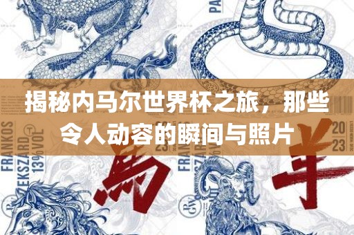 揭秘内马尔世界杯之旅，那些令人动容的瞬间与照片