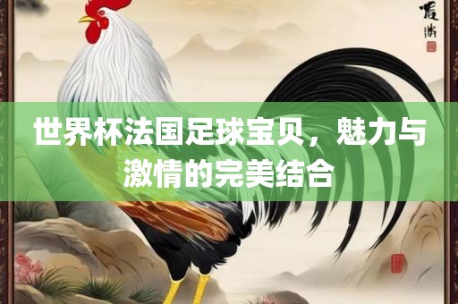 世界杯法国足球宝贝，魅力与激情的完美结合