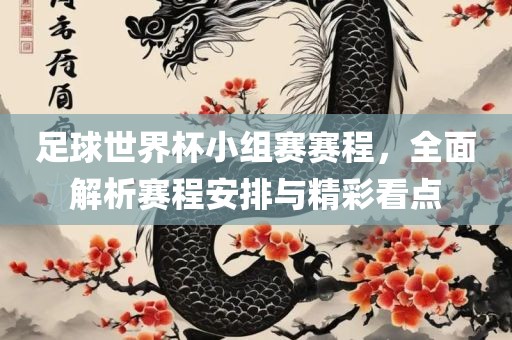 足球世界杯小组赛赛程，全面解析赛程安排与精彩看点