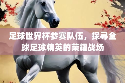 足球世界杯参赛队伍，探寻全球足球精英的荣耀战场