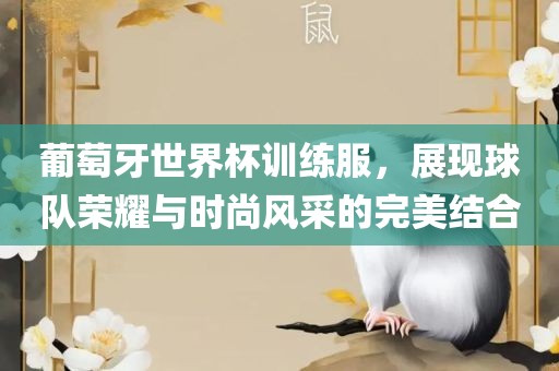 葡萄牙世界杯训练服，展现球队荣耀与时尚风采的完美结合