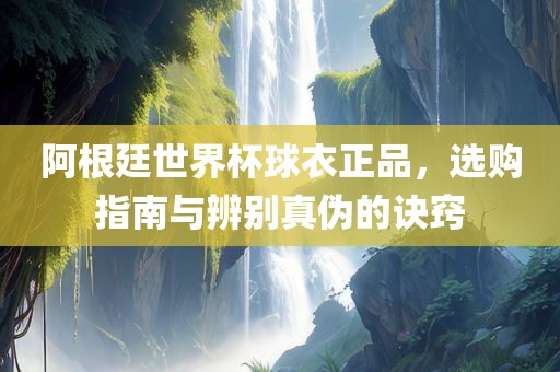 阿根廷世界杯球衣正品，选购指南与辨别真伪的诀窍
