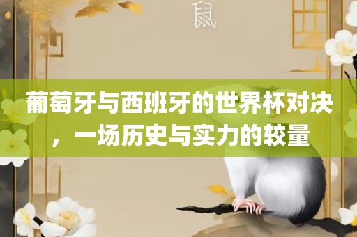 葡萄牙与西班牙的世界杯对决，一场历史与实力的较量