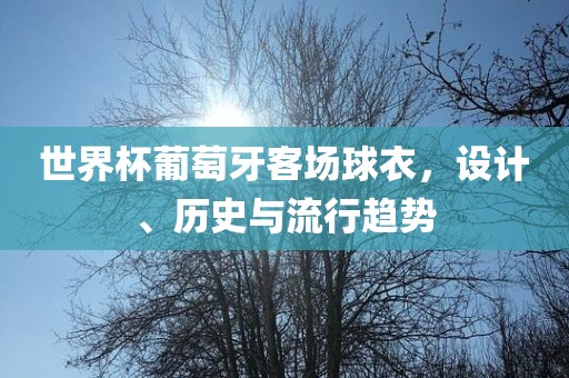 世界杯葡萄牙客场球衣，设计、历史与流行趋势