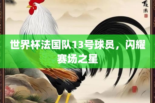 世界杯法国队13号球员，闪耀赛场之星