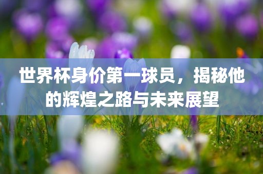 世界杯身价第一球员，揭秘他的辉煌之路与未来展望