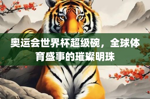 奥运会世界杯超级碗，全球体育盛事的璀璨明珠