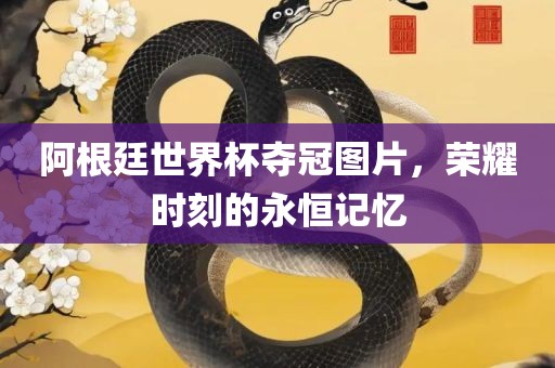 阿根廷世界杯夺冠图片，荣耀时刻的永恒记忆