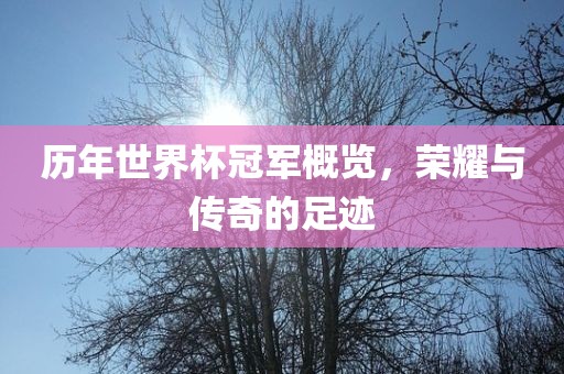 历年世界杯冠军概览，荣耀与传奇的足迹