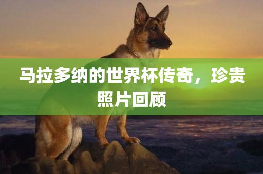 马拉多纳的世界杯传奇，珍贵照片回顾