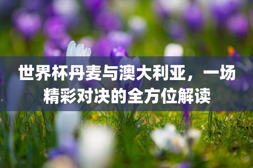 世界杯丹麦与澳大利亚，一场精彩对决的全方位解读