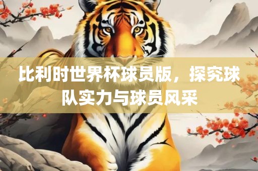 比利时世界杯球员版，探究球队实力与球员风采