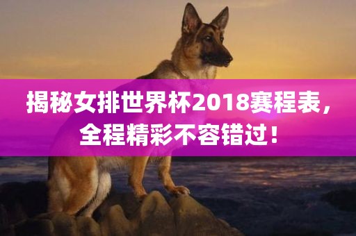 揭秘女排世界杯2018赛程表，全程精彩不容错过！