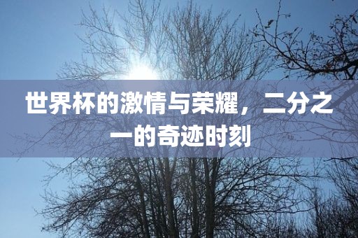世界杯的激情与荣耀，二分之一的奇迹时刻