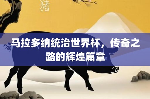 马拉多纳统治世界杯，传奇之路的辉煌篇章