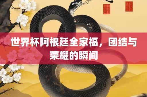 世界杯阿根廷全家福，团结与荣耀的瞬间